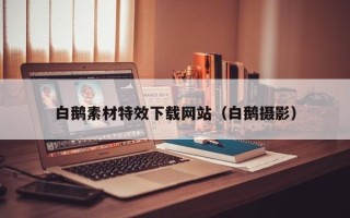 锡林郭勒盟白鹅素材特效下载网站（白鹅摄影）